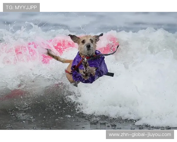 巴哈马国际冲浪比赛进入新高潮，巴哈马体育